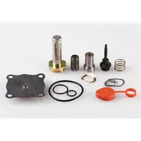 ASCO Valve Rebuild Kit (MPN 302347)