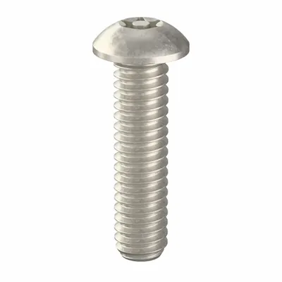 TAMPER-PRUF SCREW Tamper Resistant Screw: 1/4"-20 Thread Size, 1 in Lg, Stainless Steel, Plain - Button Head Tamper-Resistant Machine Screws