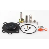 ASCO Valve Rebuild Kit (MPN 302379)
