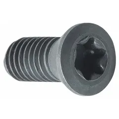 Pack of five insert screws for securing cutting inserts in indexable cutting tool holders. Used in milling, turning, and drilling operations to maintain stable insert positioning during metal removal.