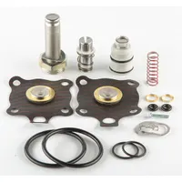 ASCO Valve Rebuild Kit (MPN 314496)