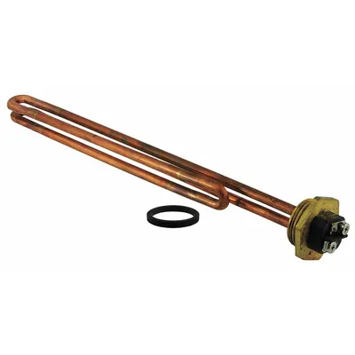 RHEEM Element, 5500W: SP10698PH - Plumbing