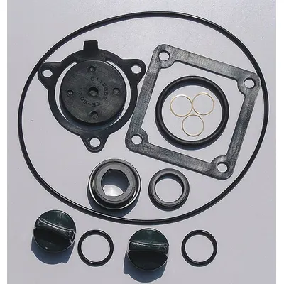 OEM Seal Kit: Mfr Part #, Dayton - Seal Kits for Dewatering & Wastewater Pumps