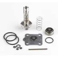 ASCO Valve Rebuild Kit (MPN 316982)