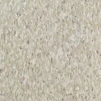 ARMSTRONG FLOORING Vinyl Floor Tiles: Shelter White, Std Excelon Imperial Texture, 12 in Tile Wd (MPN 51836031)