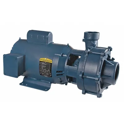FLINT & WALLING Booster Pump: 7 1/2 hp, Three Phase, 208-230/460V AC - Horizontal Booster Pumps