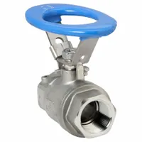 APPROVED VENDOR Manual Two-Way Ball Valve: 1 in, 316 Stainless Steel, Straight Valve Body, Two-Piece (MPN G-SSO-100V)