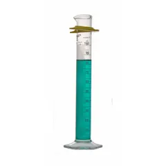 This 250 mL graduated cylinder is Class A, calibrated to deliver (TD) with 2 mL graduation increments. It meets ASTM E438-92 (2011) and USP Type I specifications, and includes a protective bumper. Suitable for precise volume measurement and dispensing in laboratory settings.