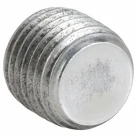 Plug: 1/4 in, Threaded, 300 psi @ 150° F, Plug, Cast Iron (MPN 0318903564)