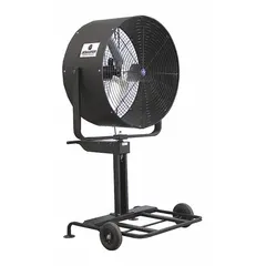This single-speed oscillating pedestal fan features a 36-inch blade diameter and a 1/2 hp motor. It operates on 115/230V AC single-phase power. Designed for air circulation in industrial environments such as warehouses, factories, and workshops.