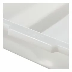 Rectangular lab tray made of HDPE with a 20 L capacity. Measures 21 3/8 in overall length and 17 1/8 in overall width. Non-sterile, intended for soaking labware or forming ice baths in laboratory and industrial settings.