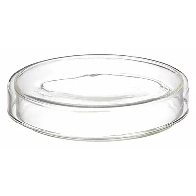 OEM Petri Dish: 100 mm Dia, 20 mm Overall Ht, No Surface Treatment, Lid, Glass - Petri Dishes
