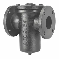Cast iron basket strainer for gas applications, single flanged design with 2-inch connection. Features a 0.125-inch 304 stainless steel screen and fiber gasket. Height 31 inches. Removes debris to protect downstream equipment.