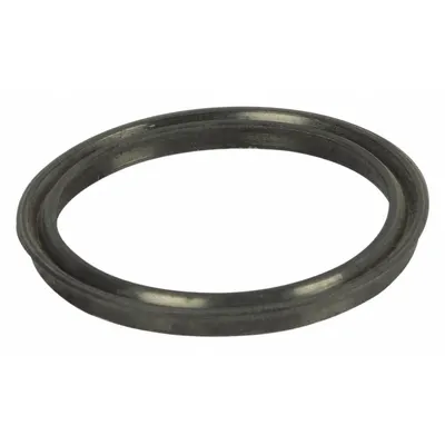 DAYTON O-Ring: O-Ring, PP3824G - Seals & Gaskets