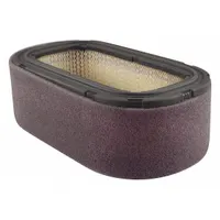 BALDWIN FILTERS Automotive Air Filter: Round-Oval, Engine, Oval, Axial Seal, 2 9/16 in Overall Ht (MPN PA4553)