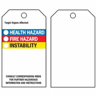 BRADY Tag: Polyester, Rectangle, 5 3/4 in Ht, 3 in Wd, 0.01 in Thick, (25) Nylon Ties, White, 25 PK (MPN 76238)