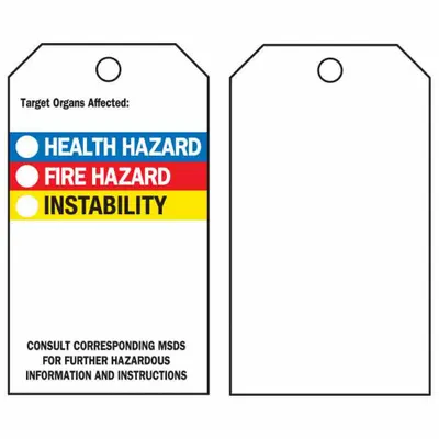 BRADY Tag: Polyester, Rectangle, 5 3/4 in Ht, 3 in Wd, 0.01 in Thick, (25) Nylon Ties - Safety