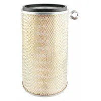 BALDWIN FILTERS Automotive Air Filter: Round-Oval, Engine, Round, Axial Seal, 29/32 in Inside Dia (MPN PA2953)