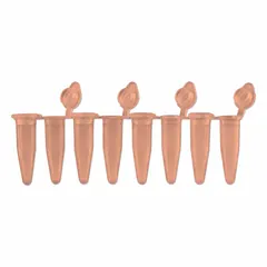 Polypropylene PCR Strip Tubes, 0.2 mL, Orange, with Attached Flat Caps
