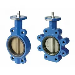 Ductile iron general-service butterfly valve with lug-style connection for water media. Features a 316 stainless steel disc and EPDM seat. Rated for 250 psi CWP. Suitable for on-off or throttling control in industrial piping systems, including dead-end service.