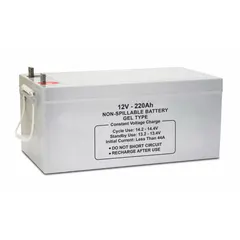 APPROVED VENDOR 47048 Gel Sealed Lead Acid Battery, 12V DC, 250 Ah, Dual Purpose, ABS Housing