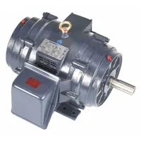 MARATHON MOTORS General Purpose Motor: Rigid Base Mount, Open Drip Proof, 20 hp, 230/460V AC (MPN 254TTDBD6001)