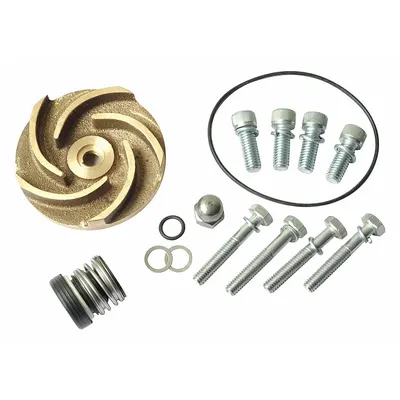Dayton Repair Kit: Mfr Part # - Seal Kits & Gaskets for Straight Centrifugal Pumps