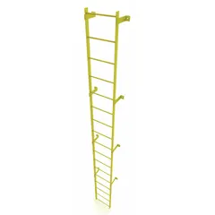 Single-section steel fixed ladder with 17 rungs, 25 in overall width, and 17 ft overall height. Designed for permanent industrial access, providing safe vertical climbing for maintenance and equipment access in factories, warehouses, and processing plants.