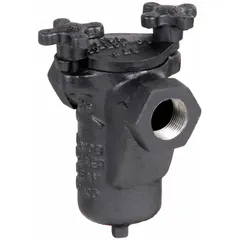 Cast iron basket strainer with 304 stainless steel screen (0.062 in openings) and Buna-N gasket. Single NPT connection, 3/8 in size. For water service to remove debris and protect downstream equipment.