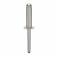 Blind Rivet,2 5/17" L,0.249" dia,PK100: Inch, 2 19/64 in Overall Lg, 31/32 in Body Lg, Dome, 100 PK (MPN AD812ABS203)