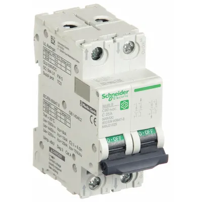 SCHNEIDER Supplementary Protector: 25 A Amps, 500V DC, 5kA at 250V DC, Screw Clamp - DC-Only Rated, 2-Pole UL1077 DIN Rail-Mount Supplementary Protectors