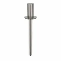 Blind Rivet,1 47/65" L,0.188" dia,PK100: Inch, 1 23/32 in Overall Lg, 27/64 in Body Lg, Dome, 100 PK (MPN SSD63SSH203)