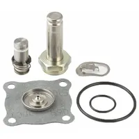 ASCO Valve Rebuild Kit (MPN 164052)