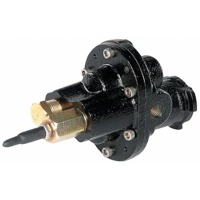 Dayton Rotary Gear Pump Head: Direct Drive, Cast Iron, 1/4" FNPT, Steel, SS - Carbonator Mount Gear Pump Heads