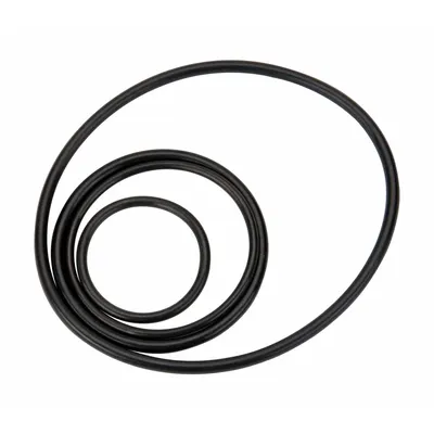 GPI Replacement Seal Kit: Repl Seal Kit - Seals & Gaskets for Fuel & DEF Transfer Pumps