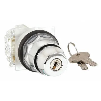 SCHNEIDER Selector Switch: 2 Position, 30 mm Panel Mounting Size, SPDT - Panel-Mounted Key Switches with Contacts