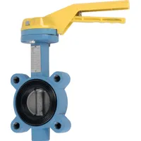 Valve between flanges D65 lugs threaded