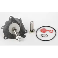 ASCO Valve Rebuild Kit (MPN 316727)