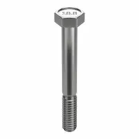 Hex Head Cap Screw: Stainless Steel, A2, NL-19, 5/16"-18, Coarse, 3 in lg, Globally Sourced, 10 PK (MPN FBHEXB516183P10)