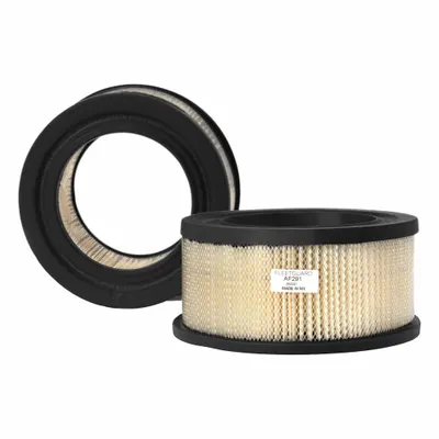 FLEETGUARD Automotive Air Filter: Round-Oval, Engine, Axial Seal, 6 5/8 in Outside Dia - Round/Oval Engine Air Filters