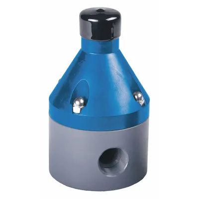 HAYWARD Pressure Reducing Control Valve: Polypropylene, PTFE, NPT x NPT - Corrosive & Ultra-Pure Liquids Pressure Regulators