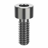 Socket Head Cap Screw: #10-24 Thread Size, 1/2 in Lg, Std, NL-19, Stainless Steel, 18-8, 100 PK (MPN FBSCAPS102412P100)