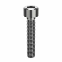 Socket Head Cap Screw: M6x1.00 Thread Size, 30 mm Lg, Std, NL-19, Stainless Steel, 18-8, 50 PK (MPN FBMSHCAPS61030P50)