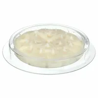 Bird control gel disks in 0.5 oz dish containers for outdoor use. Sold in a 24-pack. The non-toxic optical gel deters birds from landing on ledges, signs, and rooftops without harming them