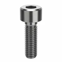 Socket Head Cap Screw: M5x0.80 Thread Size, 16 mm Lg, Std, NL-19, Stainless Steel, 18-8, 100 PK (MPN FBMSHCAPS50816P100)