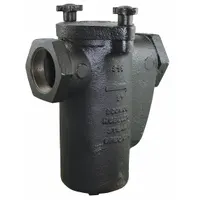 WATTS Basket Strainer: Cast Iron, 0.062 in Screen Size, Single, Flanged, 5 3/4 in, 21 5/8 in Ht (MPN 4 125F)