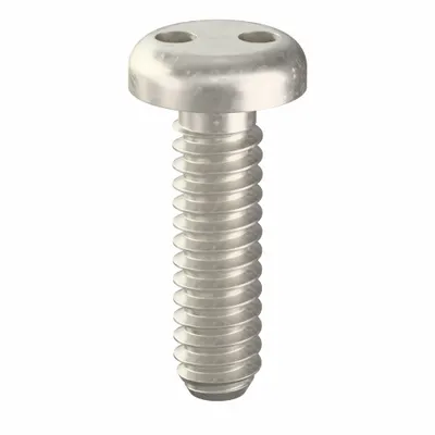 TAMPER-PRUF SCREW Tamper Resistant Screw: #6-32 Thread Size, 1/2 in Lg, Stainless Steel, Plain - Pan Head Tamper-Resistant Machine Screws