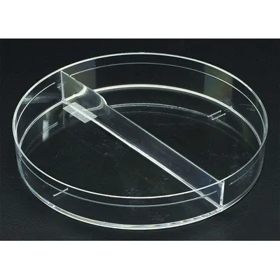 CELLTREAT Petri Dish: 100 mm Dia, 15 mm Overall Ht, Tissue Culture Treated, Polystyrene - Petri Dishes