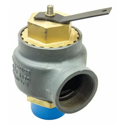 KUNKLE VALVE ASME Section IV Steam Pressure Relief Valve - ASME Section IV Steam Pressure Relief Valves