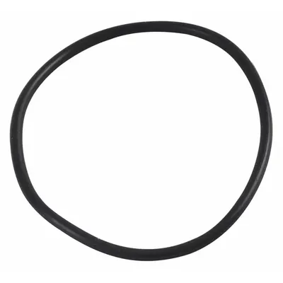 DAYTON O-Ring: O-Ring, PP3833G - Seals & Gaskets
